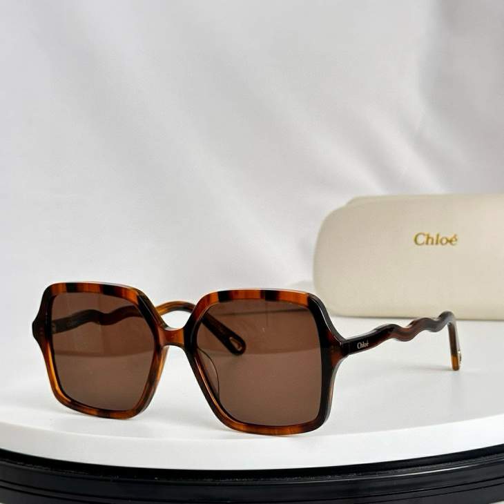 Picture of Chloe Sunglasses _SKUfw58542484fw